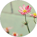 Miriam Pinilla profile picture